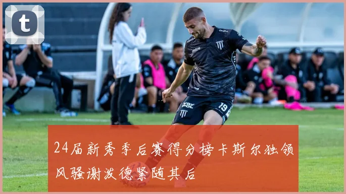 24届新秀季后赛得分榜卡斯尔独领风骚谢泼德紧随其后