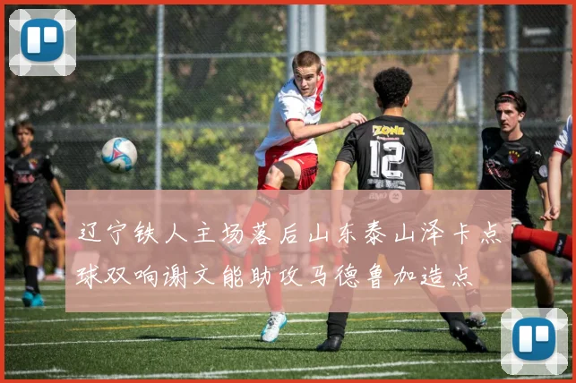 辽宁铁人主场落后山东泰山泽卡点球双响谢文能助攻马德鲁加造点